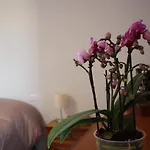 C'era Volta Bed & Breakfast