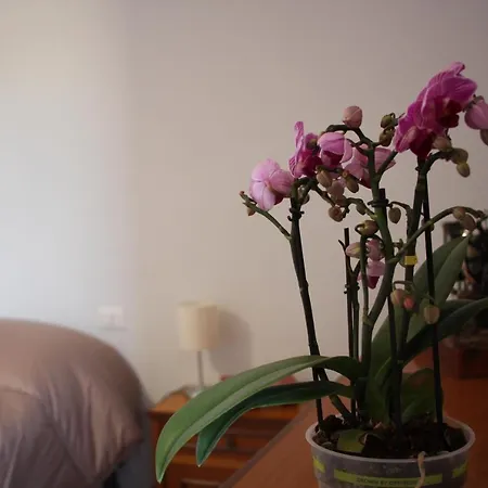 C'era Volta Bed & Breakfast